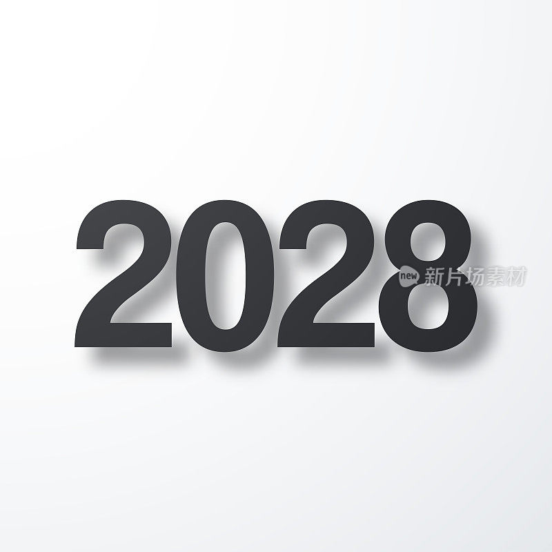 2028年- 2008年。白色背景上的阴影图标